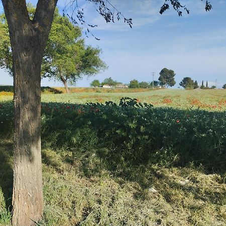 Casa Rural El Realengo Las Casas  Eksteriør billede
